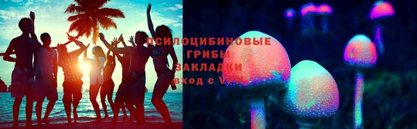 мяу мяу кристалл Арсеньев
