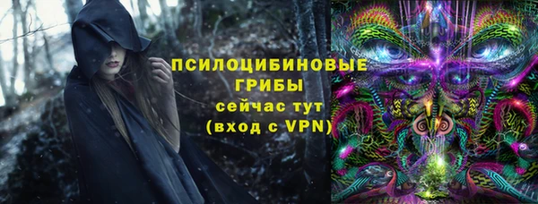 дмт Аркадак