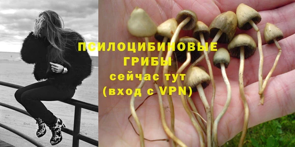 мяу мяу кристалл Арсеньев