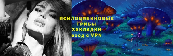 винт Армянск
